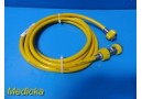 Unbranded Medical Air (Med Air) Conductive Hose, 10 Ft, Ohio 33A adapter ~ 29655