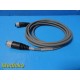 St. Jude Medical SJM 100001884 Ensite Velocity Interface Cable 14-ft ~ 34171
