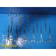 11X V. Mueller SU2752 (7.25") SA2750 (6.5") Pean Artery Forceps, Straight ~34559