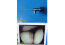 Smith & Nephew DYONICS 3768 2.7mmx30&deg; Video Rigid Telescope Arthroscope ~ 36797