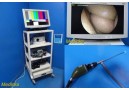 HD Arthroscopy Tower System W/ Camera Control OLED Light Source~ 36258
