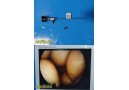 Richard Wolf 8880.401 Panoview Arthroscope 4mm x 0&deg; W/ Fiber Light Adapter~37943