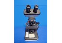 Nikon Anti-Mould ALPHAPHOT-2 YS2-H Laboratory Microscope w/ 4 Objectives~14324