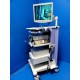 Olympus Endoscopy Tower W/ OTV-S7 Console / Camera CLH-250 Light & Printer~12817