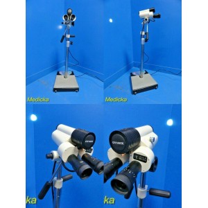 https://www.themedicka.com/6557-71488-thickbox/gynex-co1000-9x-magnification-stereoscopic-colposcope-w-wheel-base-stand-18311.jpg