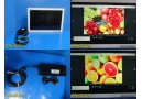 2009 Bridge Power FS-L2401D Medical LCD Color Display Endoscopy Monitor ~ 18533