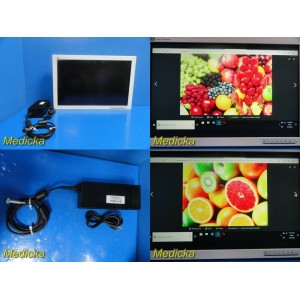 https://www.themedicka.com/7039-76892-thickbox/2009-bridge-power-fs-l2401d-medical-lcd-color-display-endoscopy-monitor-18533.jpg