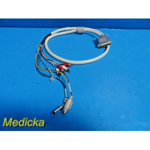 https://www.themedicka.com/7790-85592-thickbox/northern-technologies-multi-import-cable-19678.jpg