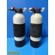 2X Zyzatech Sta-Rite RT0618 Hemodialysis Water Systems Carbon Tanks ~ 20748